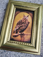 Load image into Gallery viewer, Keyhole Owl Mini Framed Print